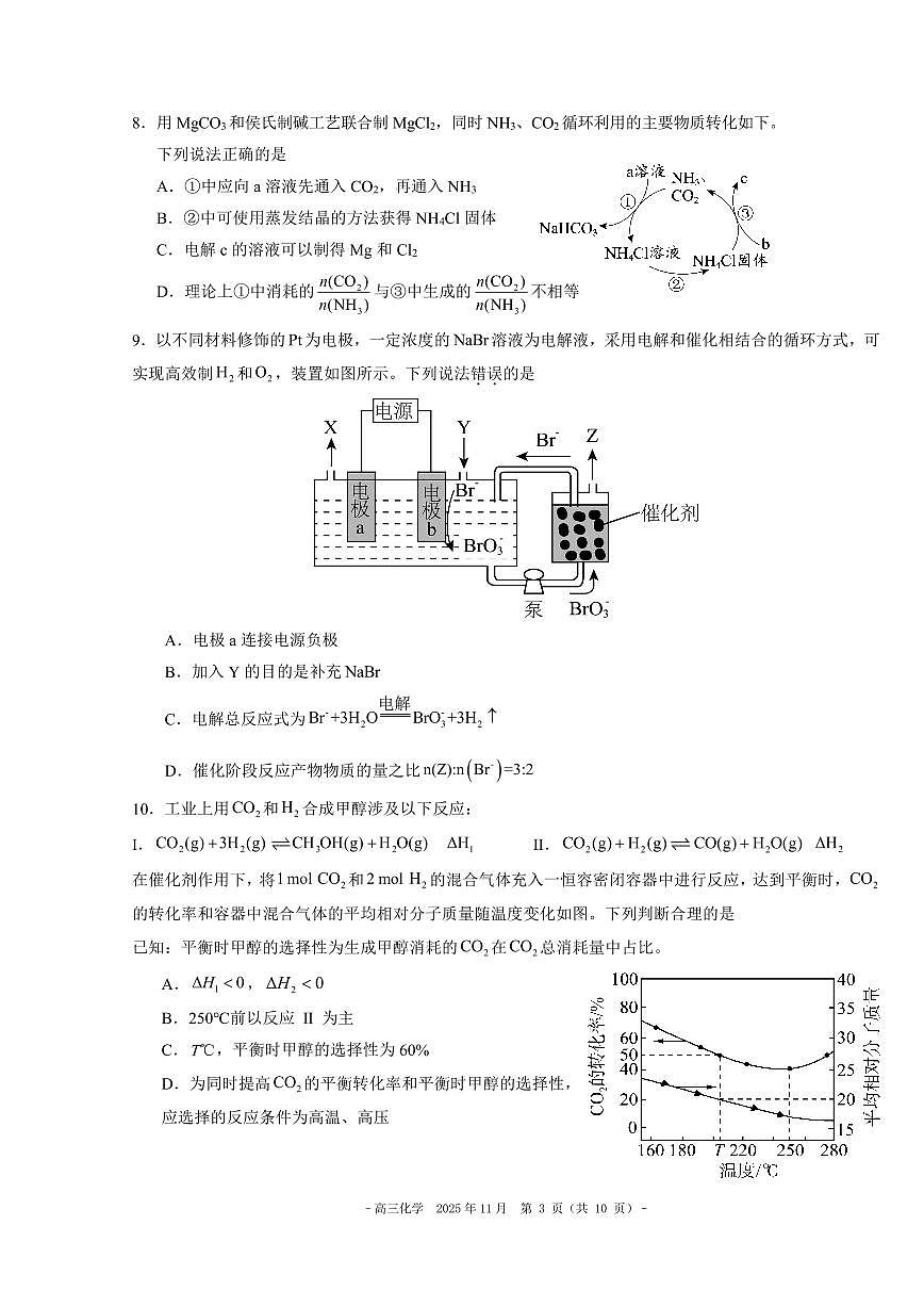 2025北京二中高三上10月月考化学试卷第3页