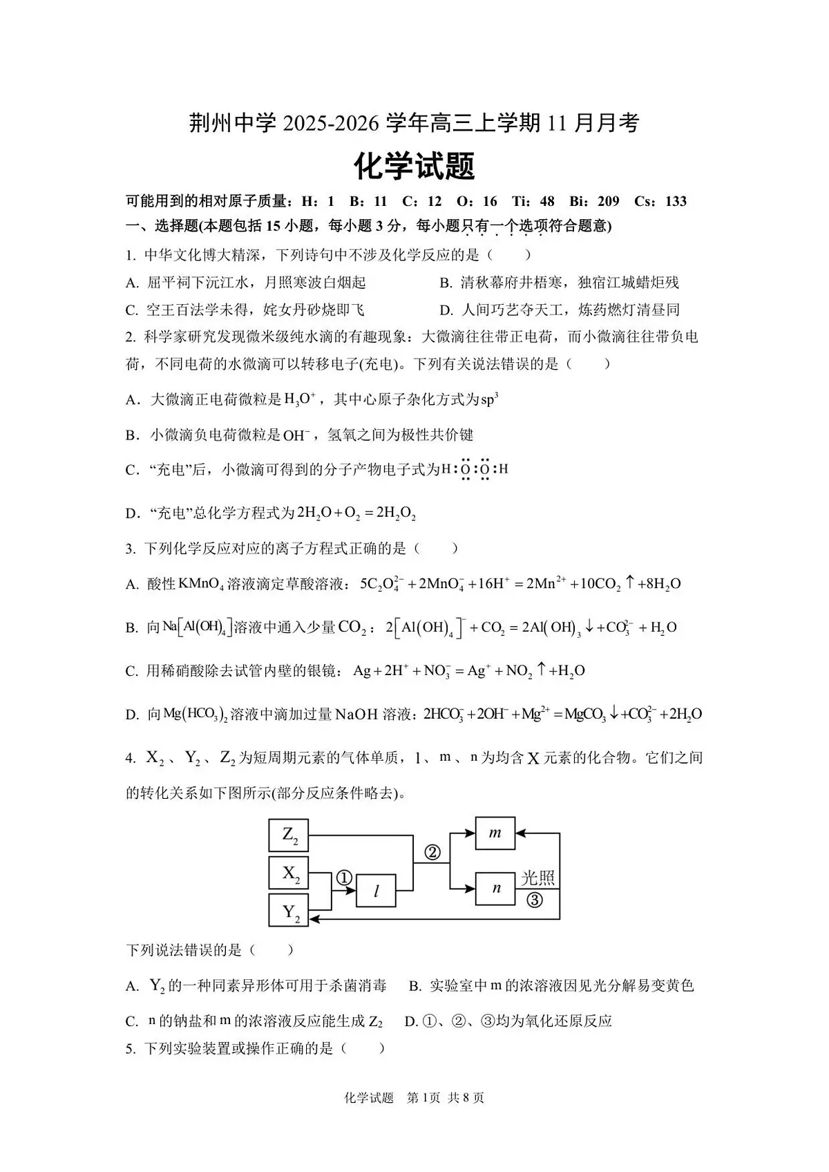 11月月考化学试题第1页