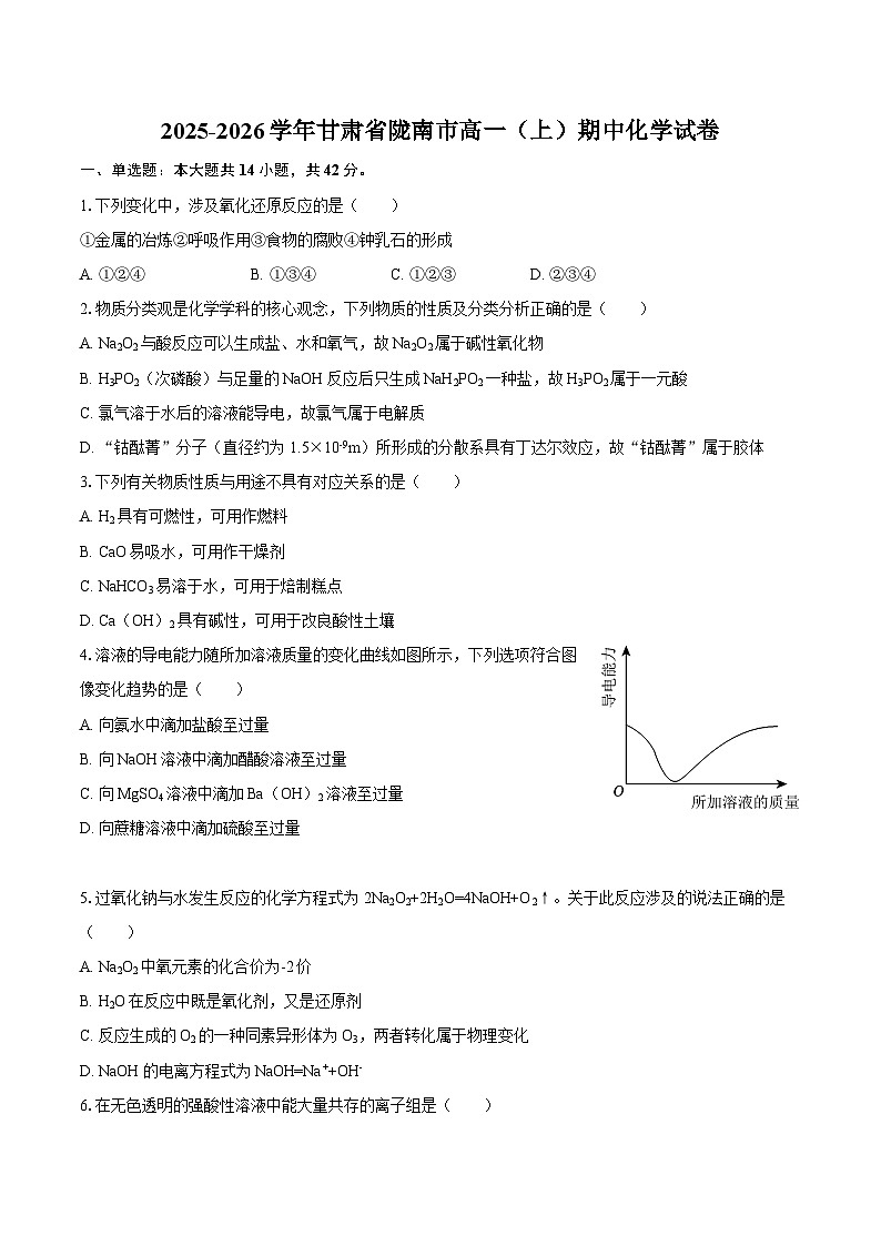 2025-2026学年甘肃省陇南市高一（上）期中化学试卷-自定义类型第1页