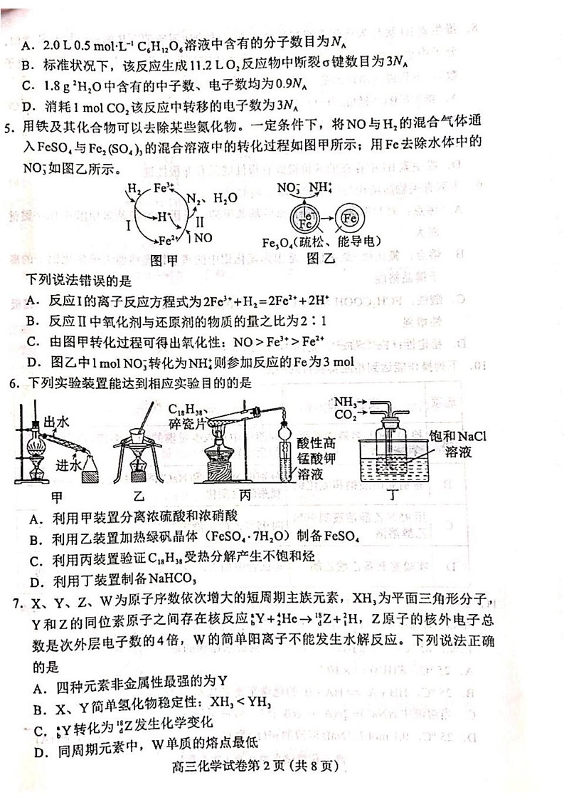 河北省保定市2024-2025学年高三上学期期末调研考试化学试题第2页
