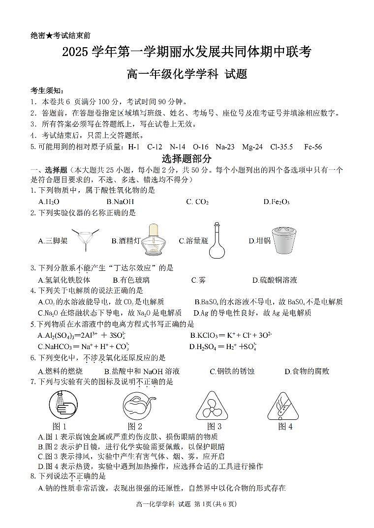 浙江省丽水发展共同体2025-2026学年高一上学期11月期中化学试卷（含答案）第1页