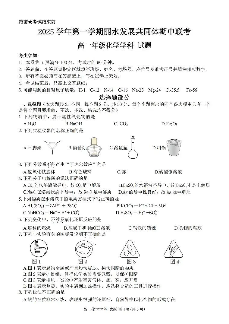 浙江省丽水发展共同体2025-2026学年高一上学期11月期中化学试卷（含答案）第1页