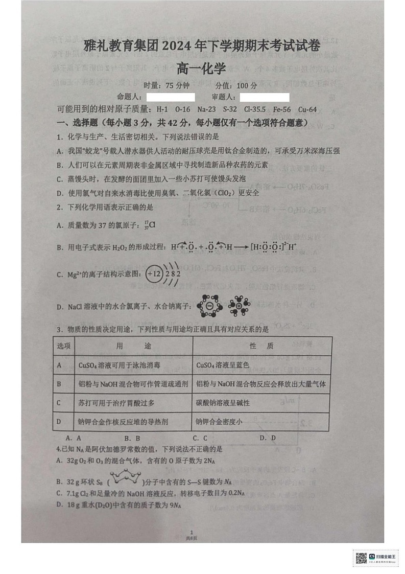 湖南省长沙市雅礼教育集团2024-2025学年高一上学期期末考试化学试题第1页