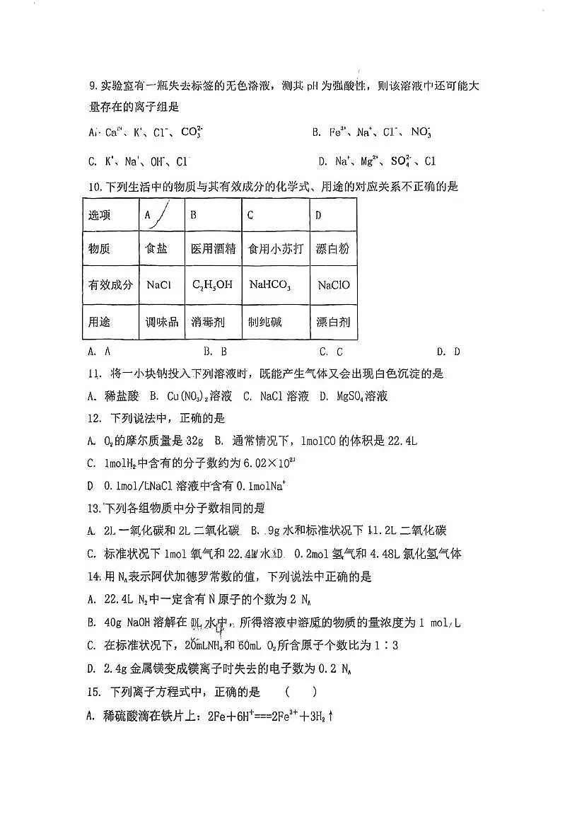 天津市武清区杨村第四中学2025-2026学年高一上学期期中考试化学试卷第2页