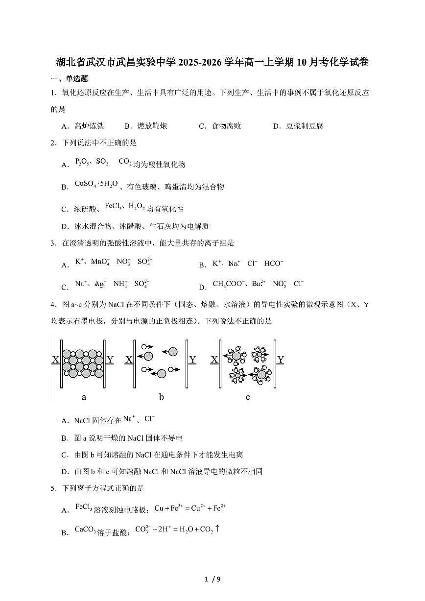 2025-2026学年湖北省武昌实验中学高一上学期（10月）月考化学试卷（含答案）第1页