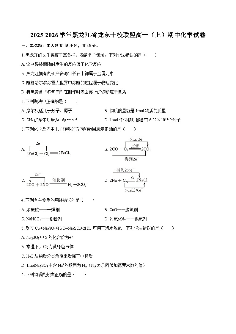 2025-2026学年黑龙江省龙东十校联盟高一（上）期中化学试卷-自定义类型第1页