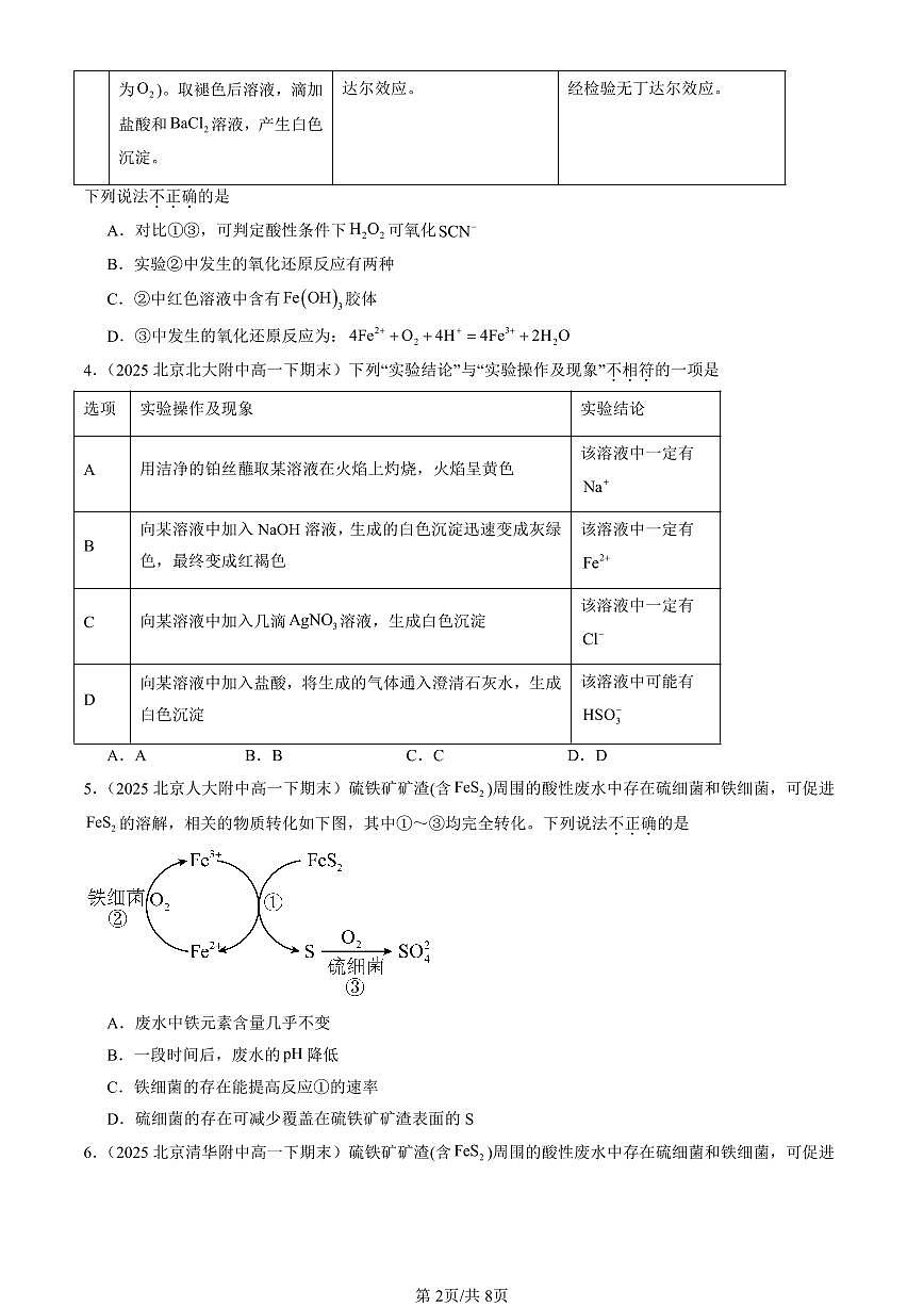 2025北京重点校高一（下）期末化学汇编：铁的多样性（鲁科版）第2页