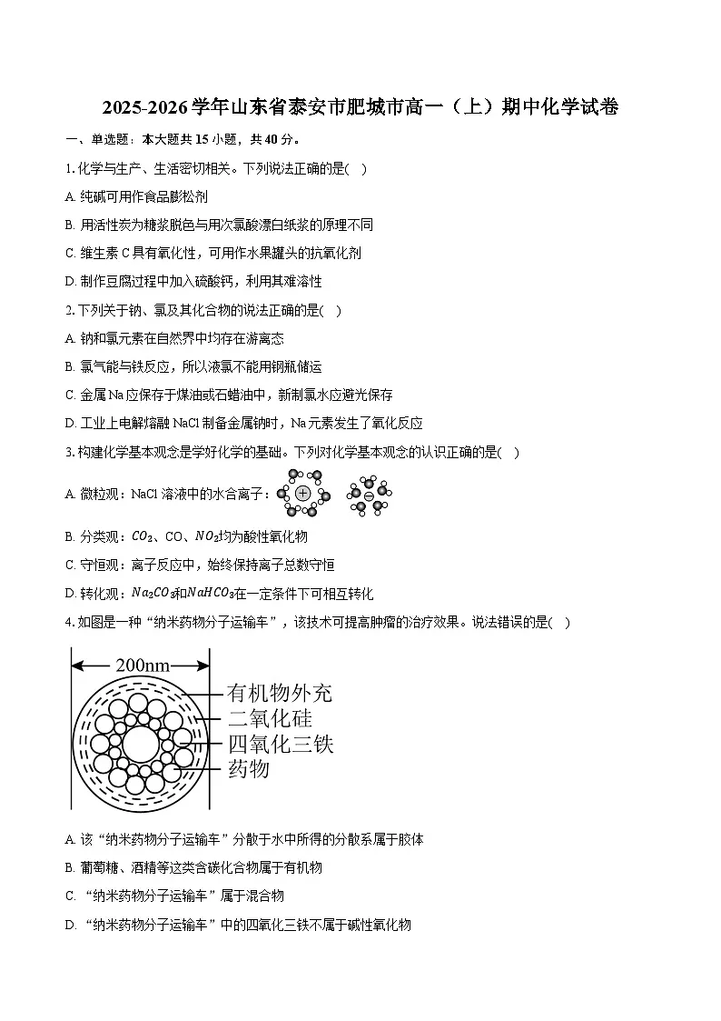 2025-2026学年山东省泰安市肥城市高一（上）期中化学试卷（含答案+解析）第1页