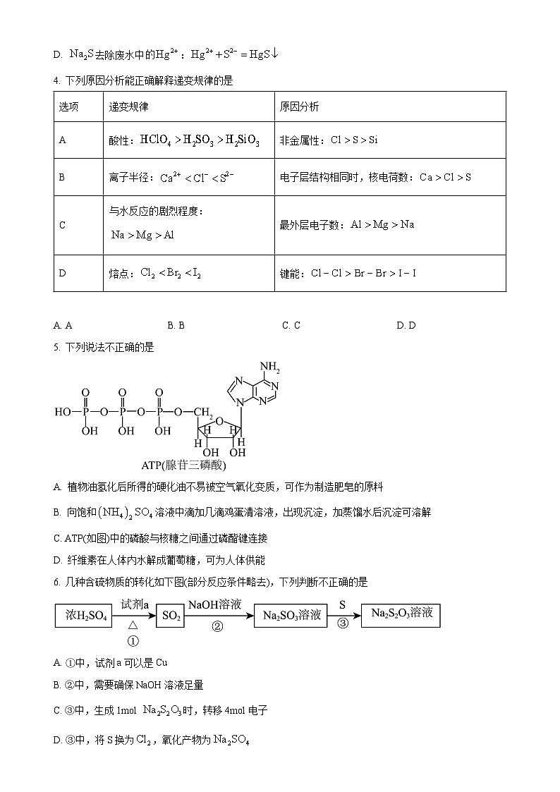 北京五中高三上学期期中考试化学试题（原卷版）-A4第2页
