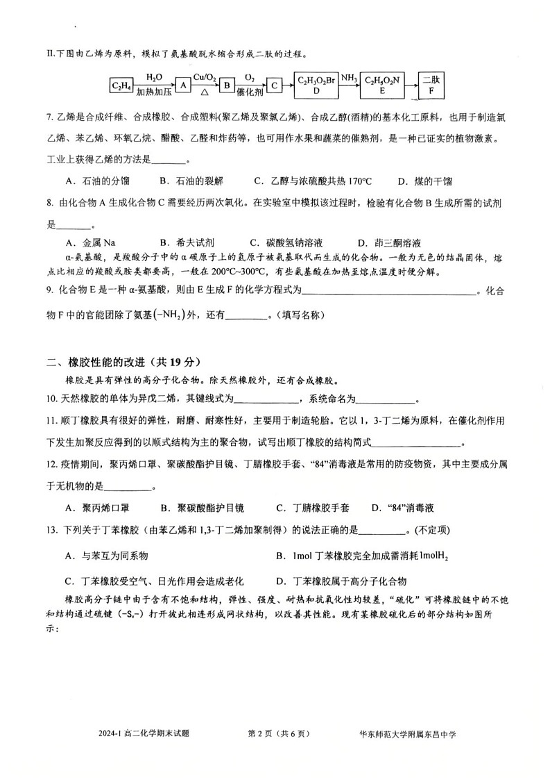 上海市华东师范大学附属东昌中学2024-2025学年高二上学期期末考试 化学试卷第2页
