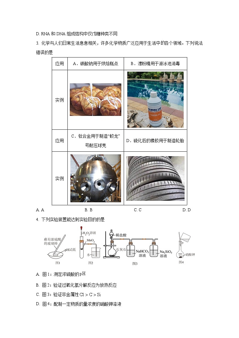 河北省沧州市泊头市八县联考2025-2026学年高三上学期11月期中化学试卷（学生版）第2页