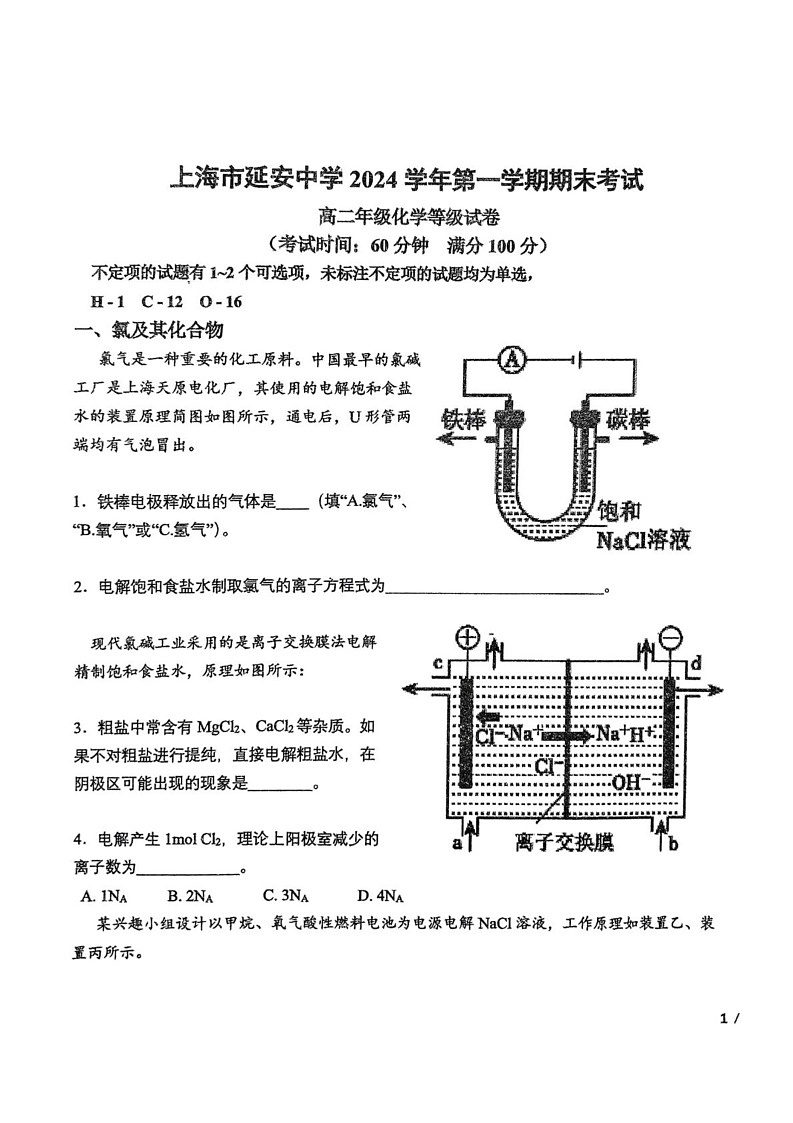 上海市延安中学2024-2025学年高二上学期期末考试 化学（等级）试卷第1页