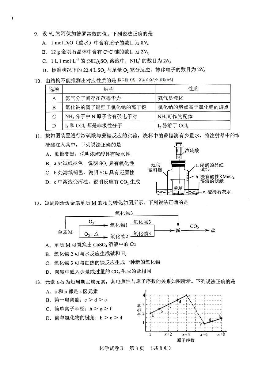 2025-2026学年广州高三上学期12月化学试题无答案第3页