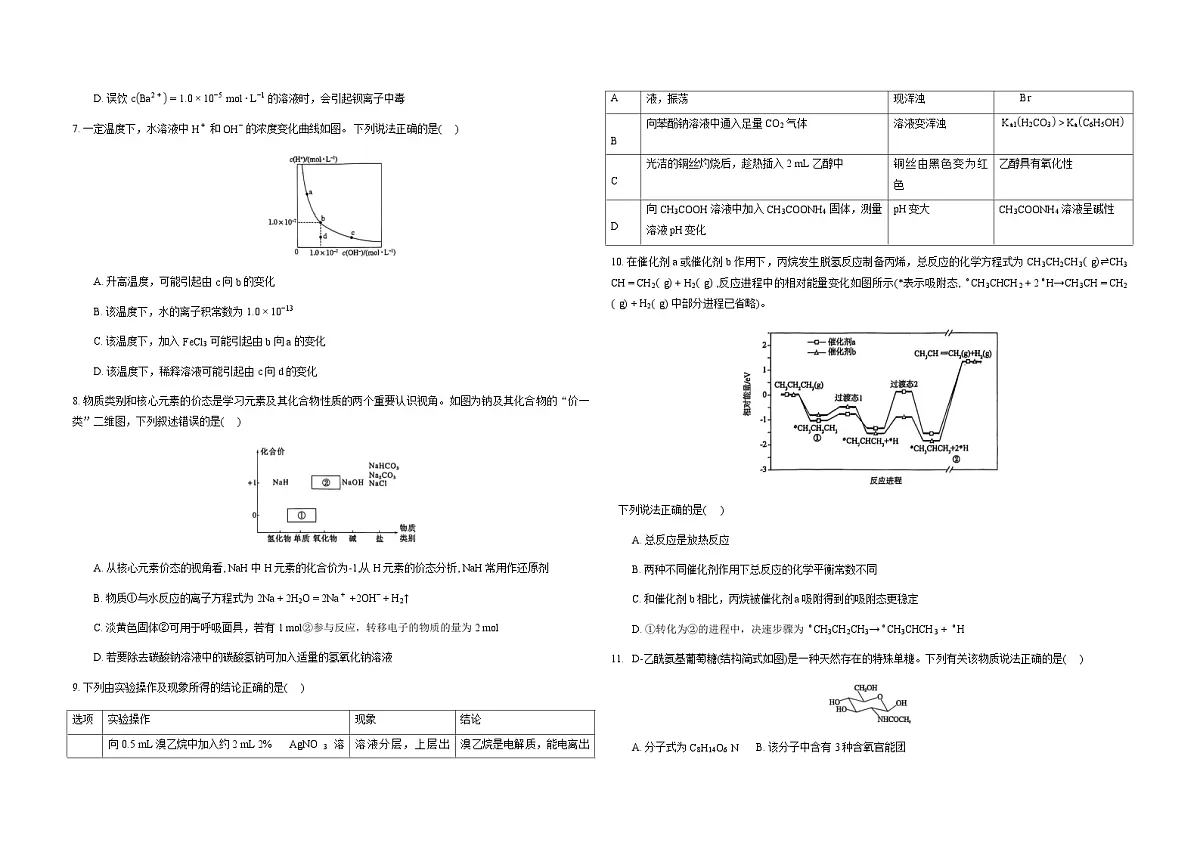 2026山西大学附中高三上学期11月期中考试化学无答案第2页