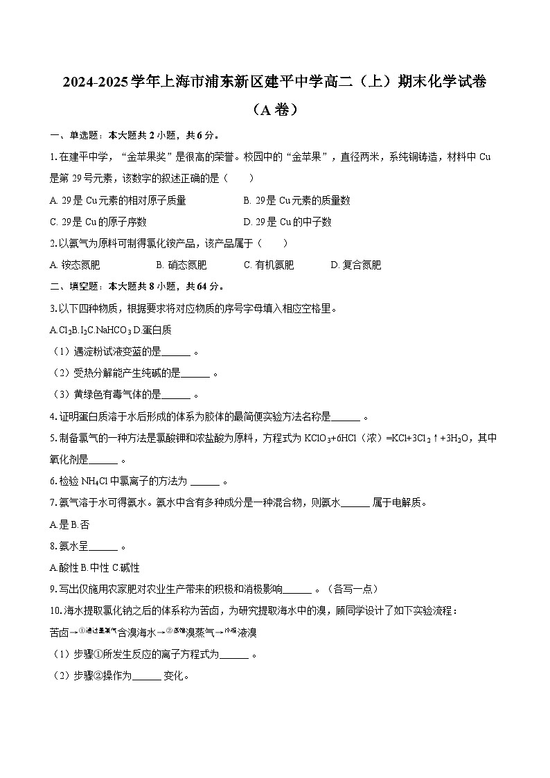 2024-2025学年上海市浦东新区建平中学高二（上）期末化学试卷（A卷）-自定义类型第1页