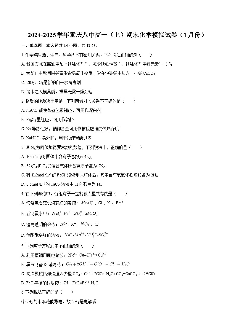 2024-2025学年重庆八中高一（上）期末化学模拟试卷（1月份）-自定义类型第1页