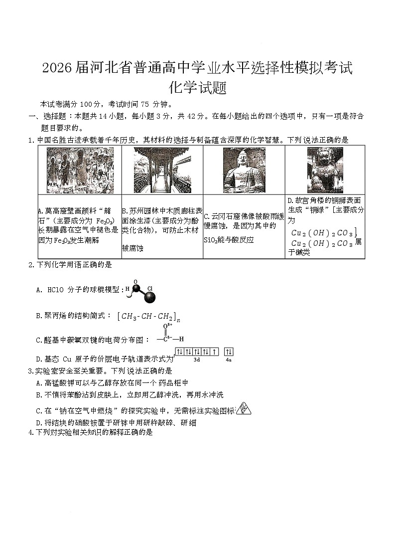 河北省唐县第一中学2025-2026学年高三上学期模拟考试化学试题（高考模拟）第1页