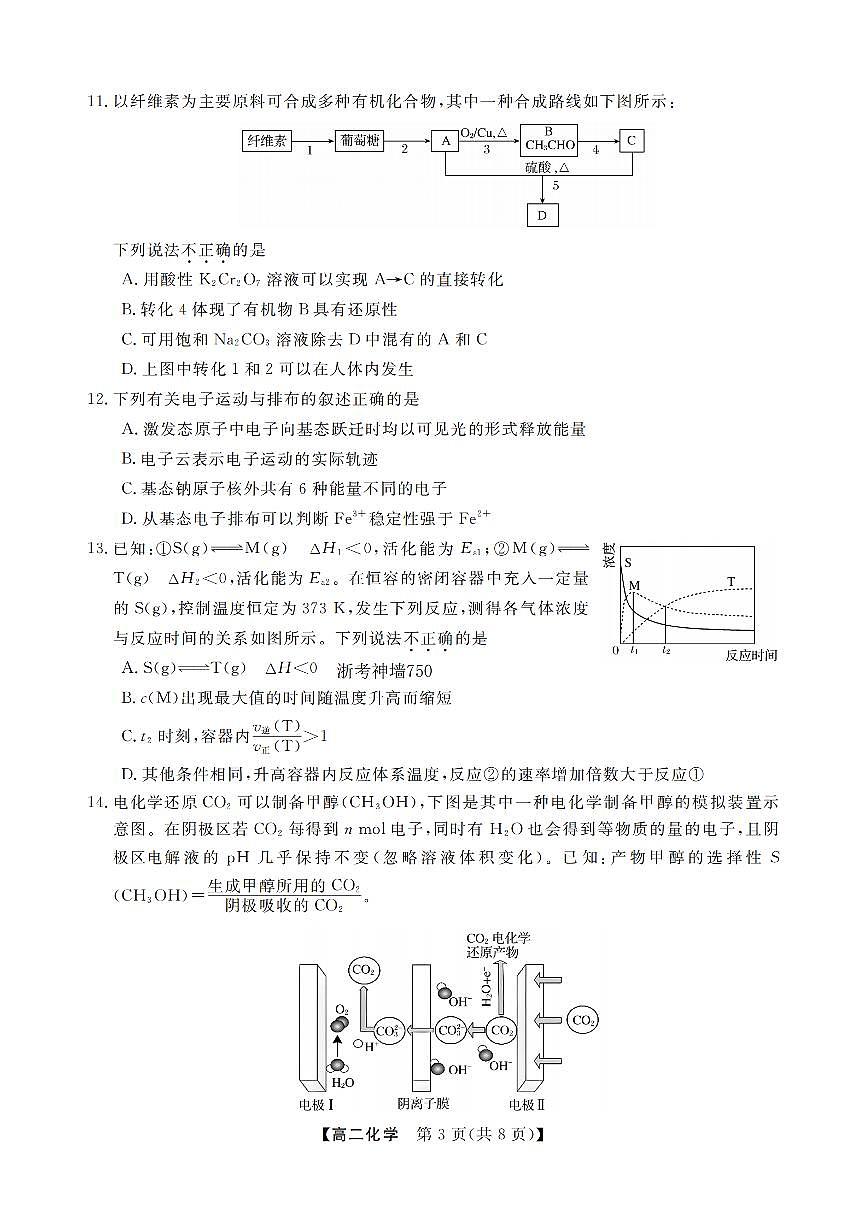 浙江省强基联盟2025-2026学年高二上学期12月联考化学试卷（含答案）第3页
