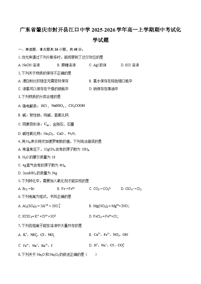 广东省肇庆市封开县江口中学2025-2026学年高一上学期期中考试化学试题-自定义类型第1页
