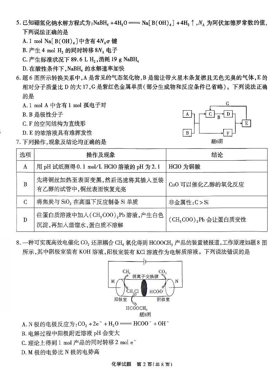 化学南开中学2026届高三第五次质量检测试卷第2页