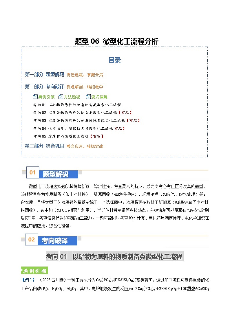题型06 微型化工流程分析  （全国通用）（原卷版）第1页