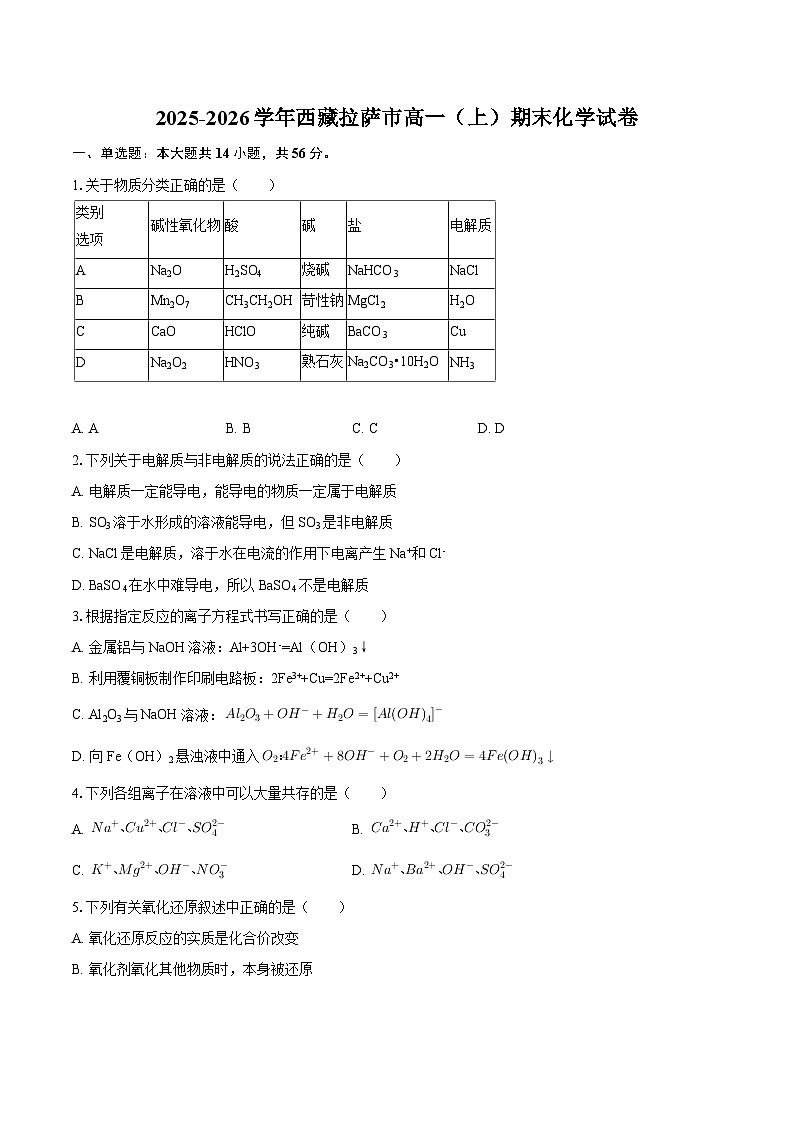 2025-2026学年西藏拉萨市高一（上）期末化学试卷-自定义类型第1页