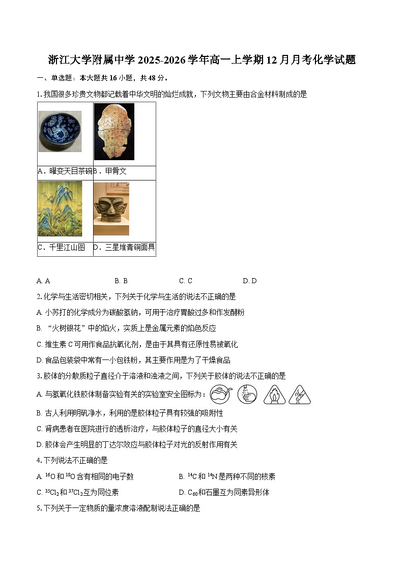 浙江大学附属中学2025-2026学年高一上学期12月月考化学试题-自定义类型第1页