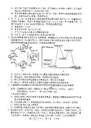 NT20名校联合体高三年级1月质检考试化学第2页