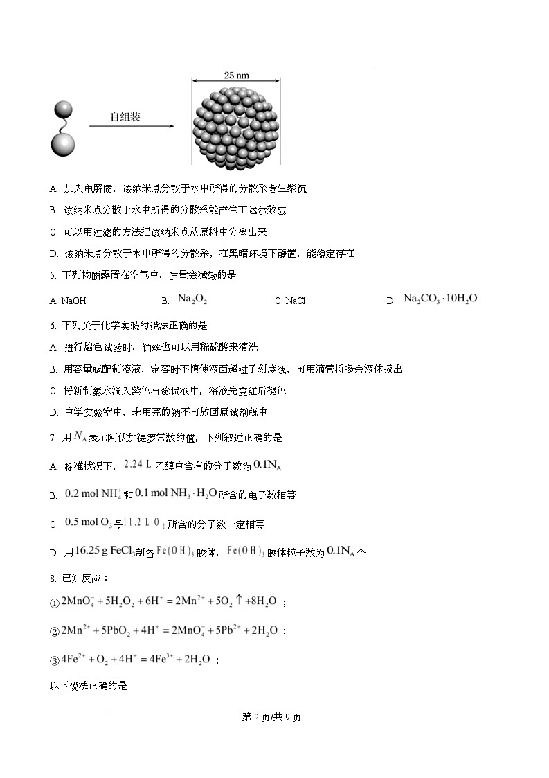 浙江省卓越高中联盟2025-2026学年高一上学期11月期中联考化学试题（原卷版）第2页