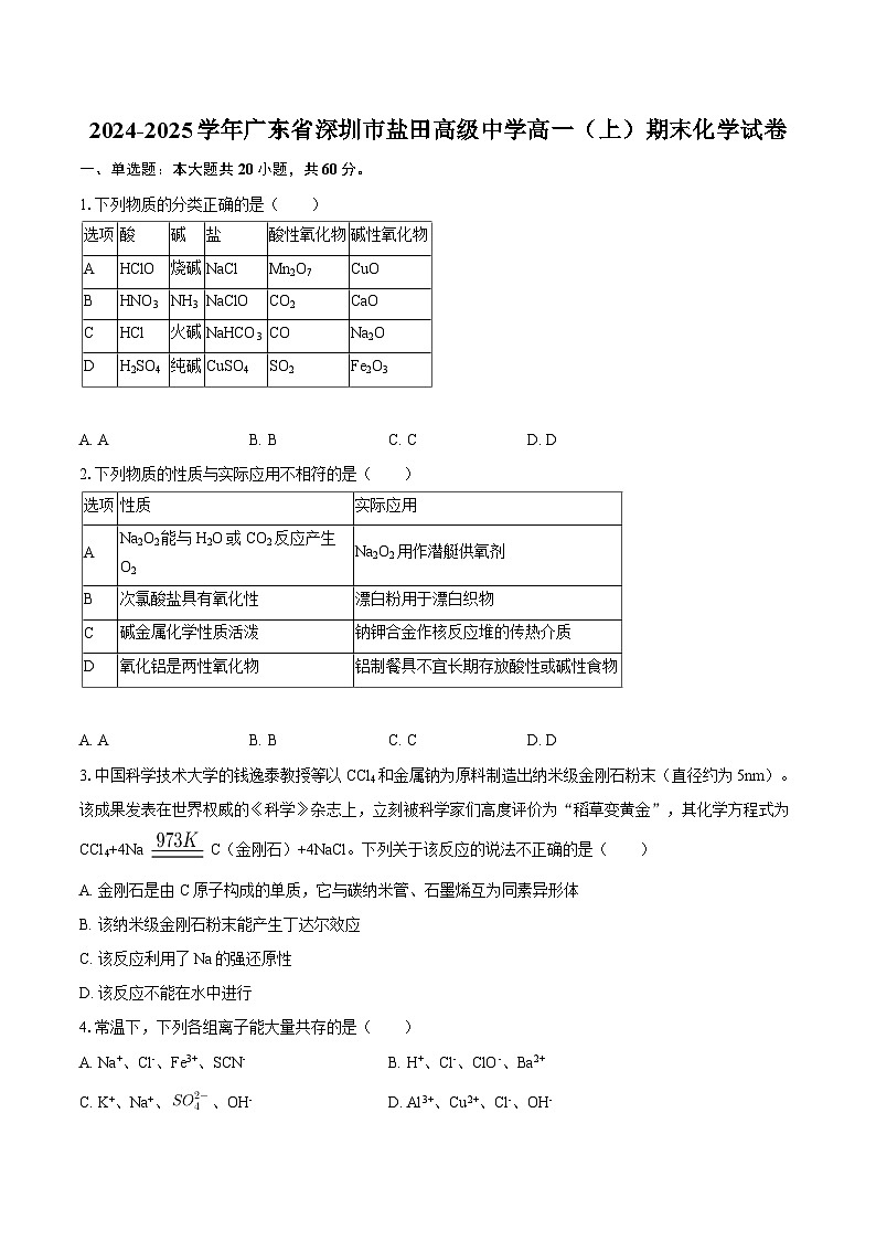 2024-2025学年广东省深圳市盐田高级中学高一（上）期末化学试卷-自定义类型第1页