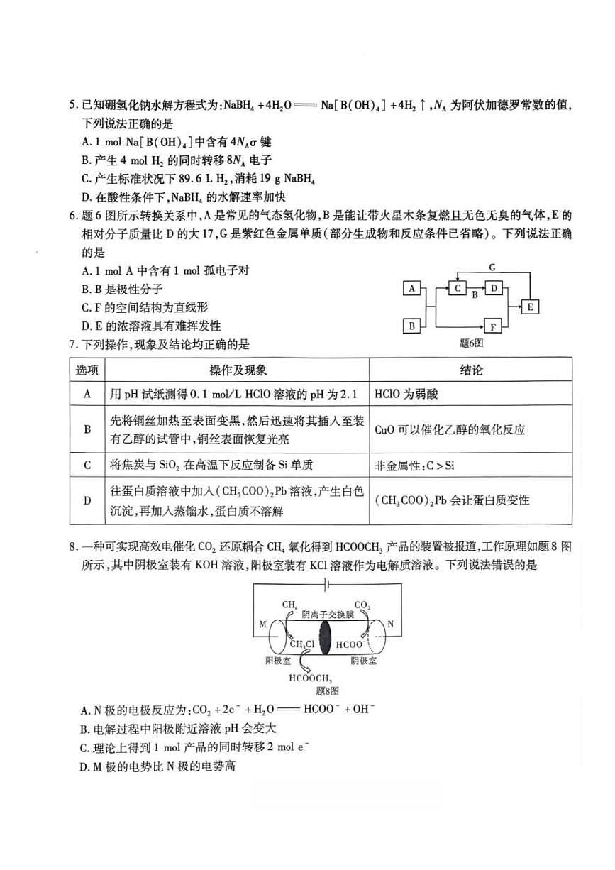 重庆南开中学校2026届高三上学期第五次质检化学试题（含答案）第2页