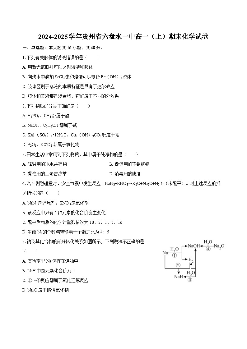 2024-2025学年贵州省六盘水一中高一（上）期末化学试卷-自定义类型第1页