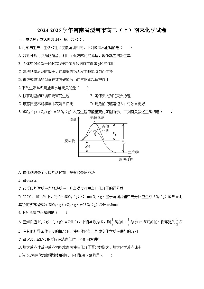 2024-2025学年河南省漯河市高二（上）期末化学试卷-自定义类型第1页