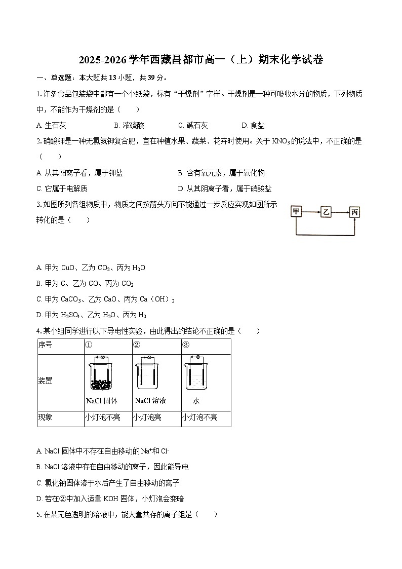 2025-2026学年西藏昌都市高一（上）期末化学试卷-自定义类型第1页