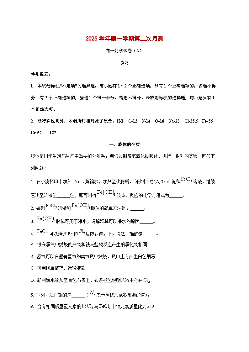 上海市嘉定区第一中学2025~2026学年高一上册（12月）月考化学试题[附解析]第1页
