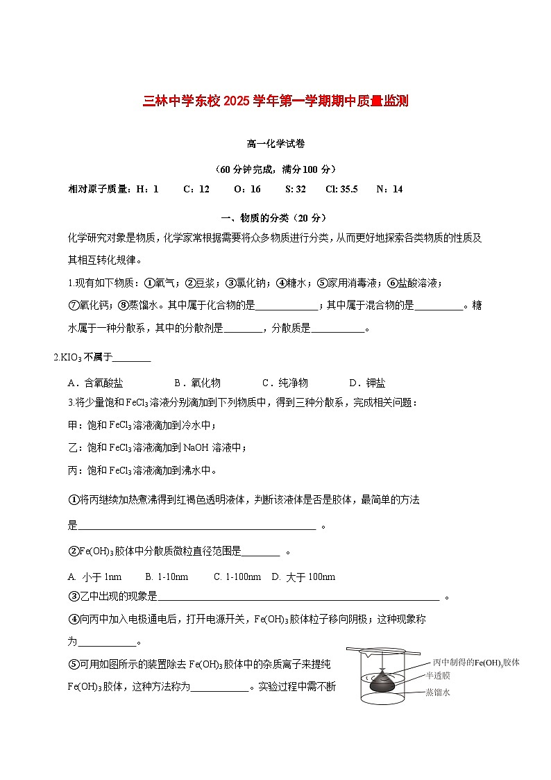 上海市三林中学东校2025~2026学年高一上册期中考试化学试题 [附答案]第1页