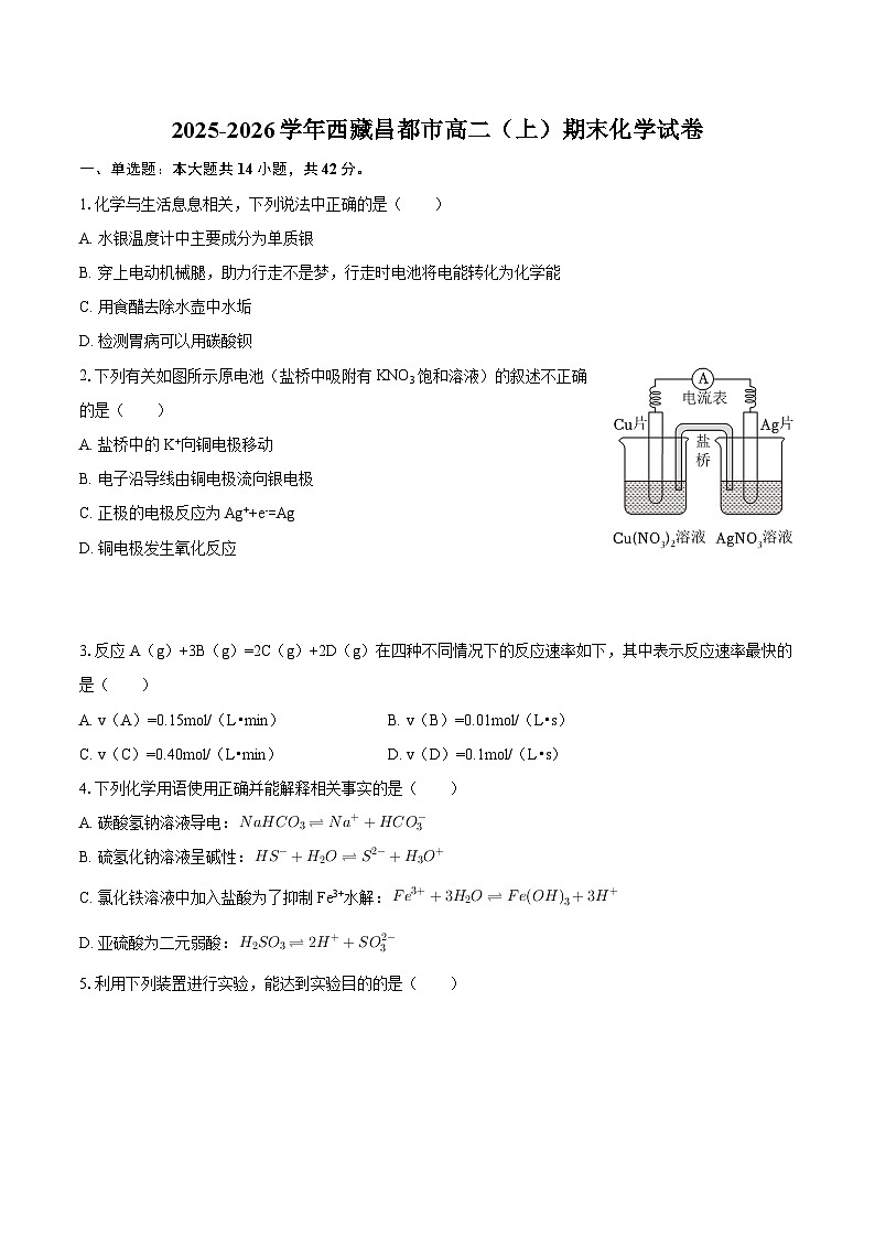 2025-2026学年西藏昌都市高二（上）期末化学试卷-自定义类型第1页