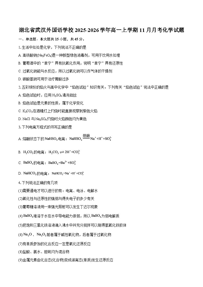 湖北省武汉外国语学校2025-2026学年高一上学期11月月考化学试题-自定义类型第1页