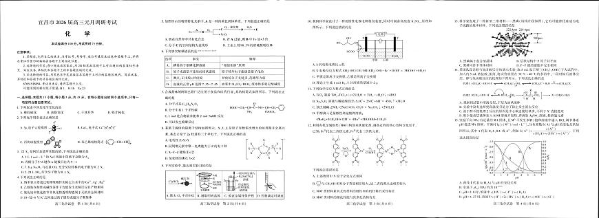 2026届宜昌高三上学期1月化学试题无答案第1页
