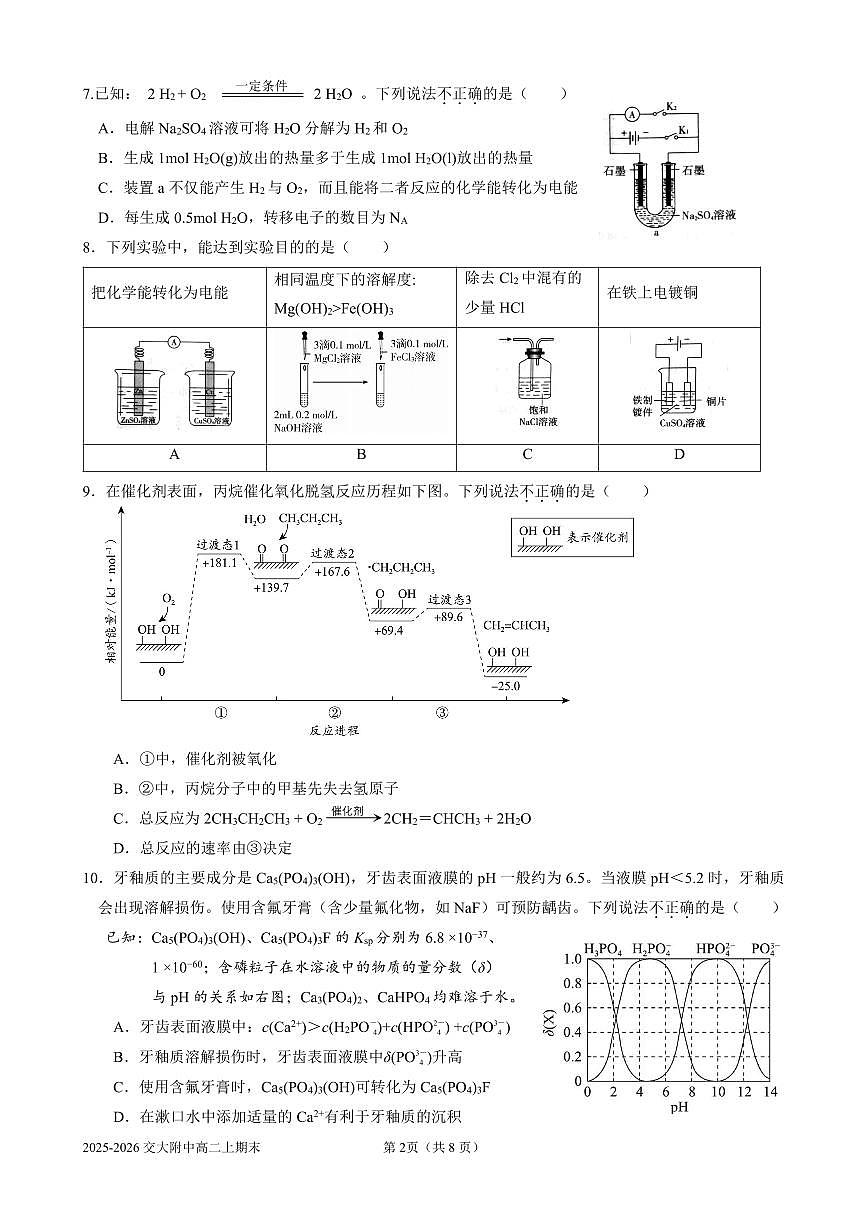 2026北京交大附中高二（上）期末化学试卷第2页
