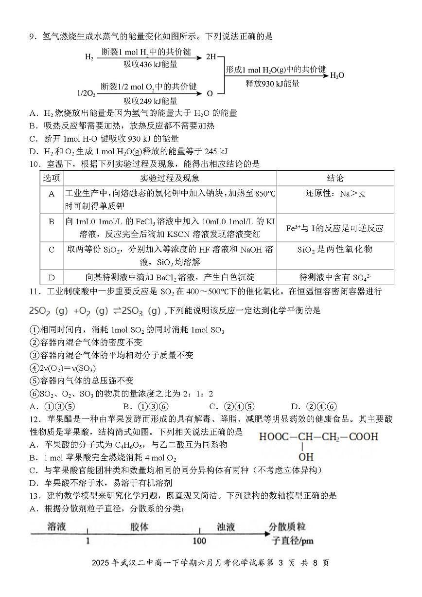 2024-2025学年湖北省武汉市第二中学高一下学期6月月考化学试题（含答案）第3页