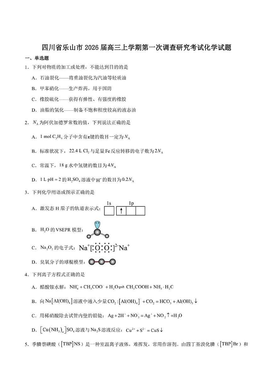 2026届四川省乐山市高三上学期第一次调查研究考试化学试卷（含答案）第1页