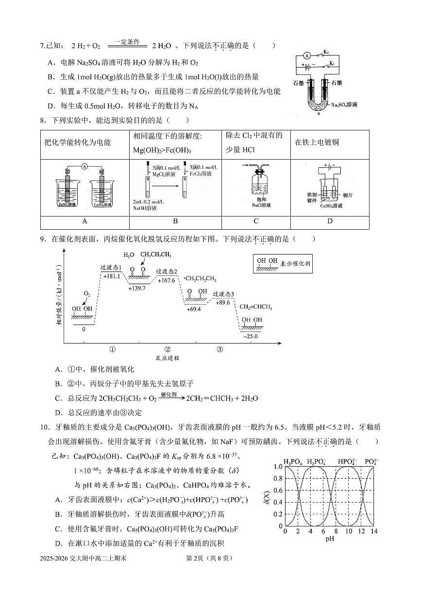 2026北京交大附中高二（上）期末化学试卷 无答案第2页