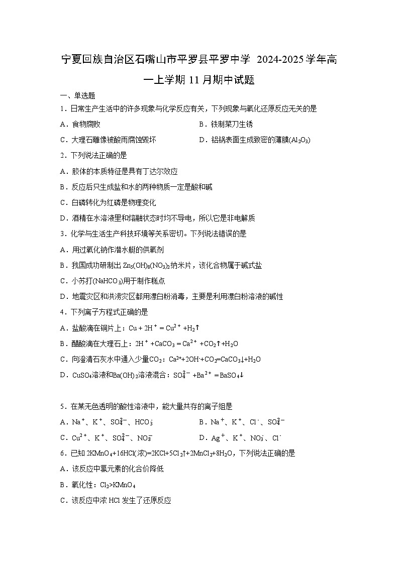 【化学】宁夏回族自治区石嘴山市平罗县平罗中学2024-2025学年高一上学期11月期中试题（学生版）第1页