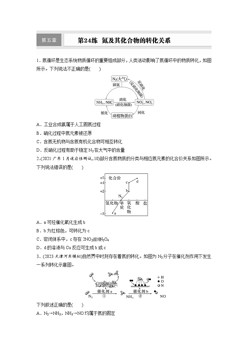 2026高三化学（人教版）一轮复习试题　第五章　第24练　氮及其化合物的转化关系（含答案）第1页