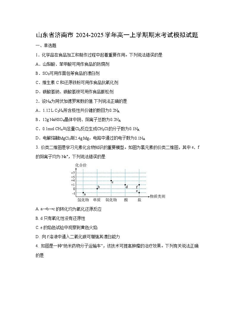 【化学】山东省济南市2024-2025学年高一上学期期末考试模拟试题（学生版）第1页