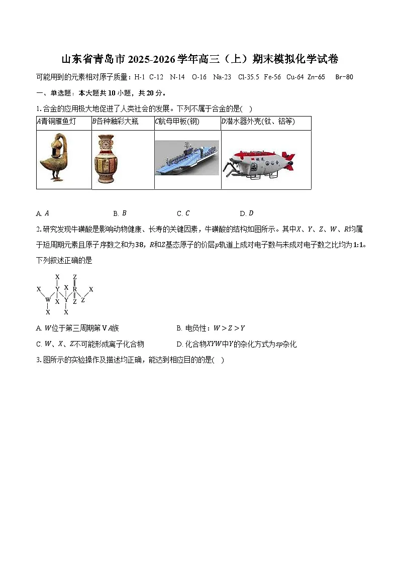 山东省青岛市2025-2026学年高三（上）期末模拟化学试卷第1页