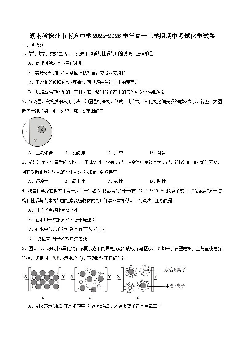 湖南省株洲市南方中学2025-2026学年高一上学期期中考试化学试卷（含答案）第1页