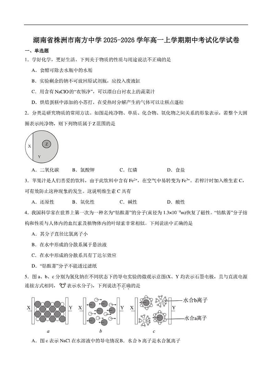 2025-2026学年湖南省株洲市南方中学高一上学期期中考试化学试卷（含答案）第1页