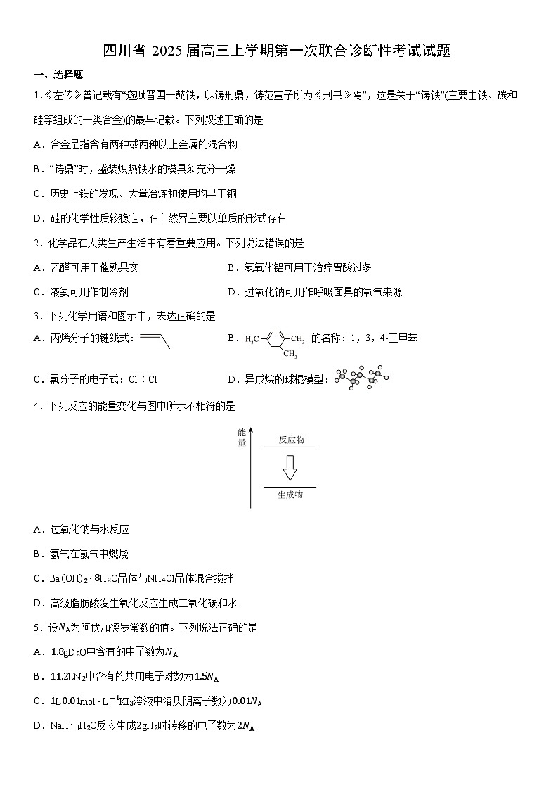 四川省2025届高三上学期第一次联合诊断性考试(学生版)化学试卷第1页